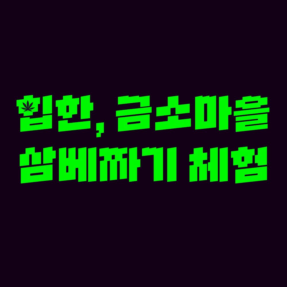 둘러보는 금소마을 카드뉴스